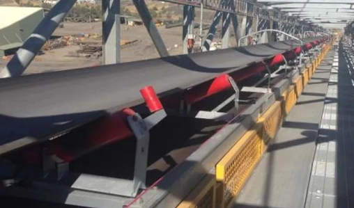 Sealing Conveyor Belt